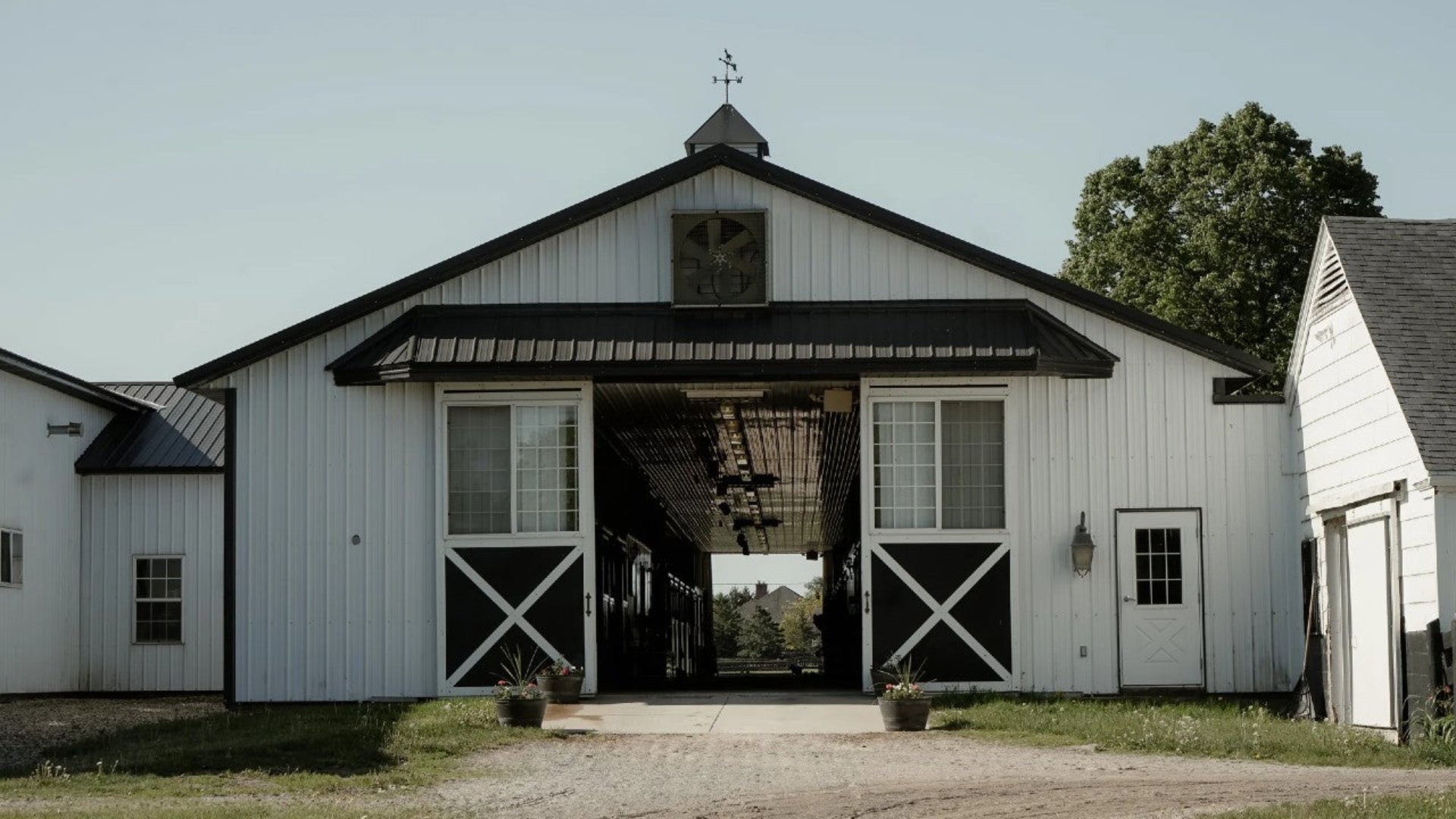 classic day equestrian